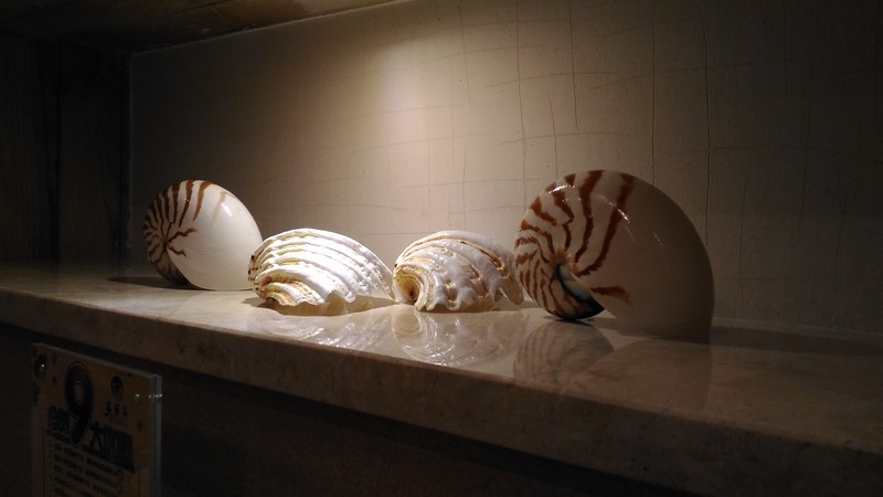 神拍机的诱惑，华硕ZenFone Selfie拍照测试