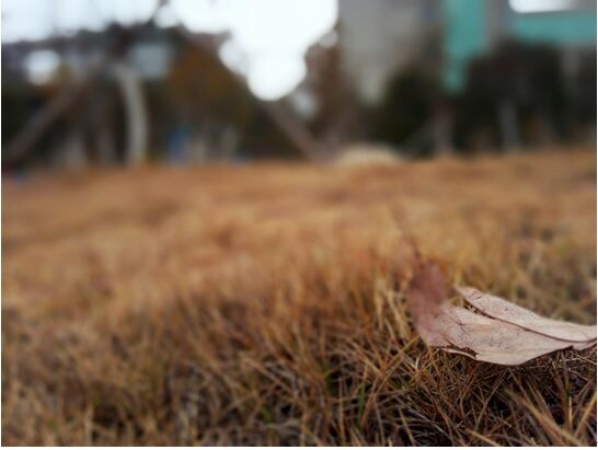 先拍照，后对焦，荣耀6 Plus 1799你觉得咋样？