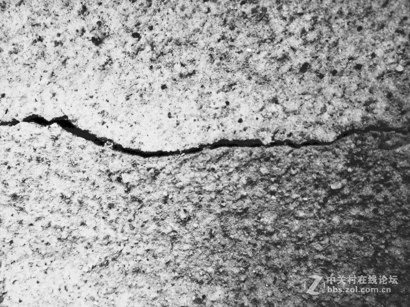 ＃魅蓝5S试用＃把生活拍成诗  魅蓝5S拍照效果测试