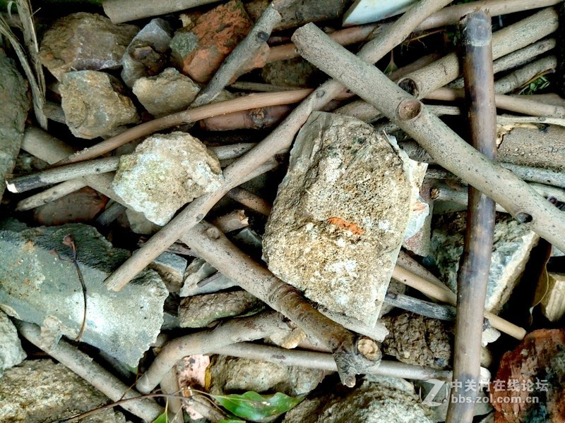 ＃魅蓝5S试用＃把生活拍成诗  魅蓝5S拍照效果测试