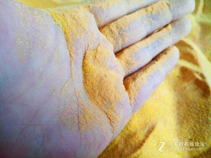 ＃魅蓝5S试用＃把生活拍成诗  魅蓝5S拍照效果测试