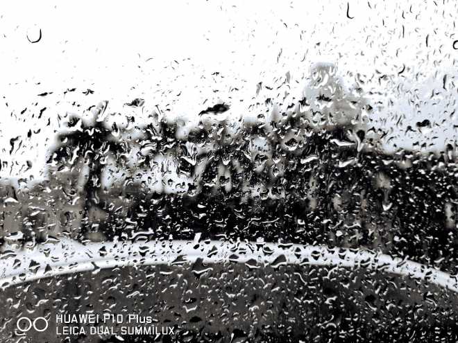 ~~莱卡静静地记录着:雨点美！~
