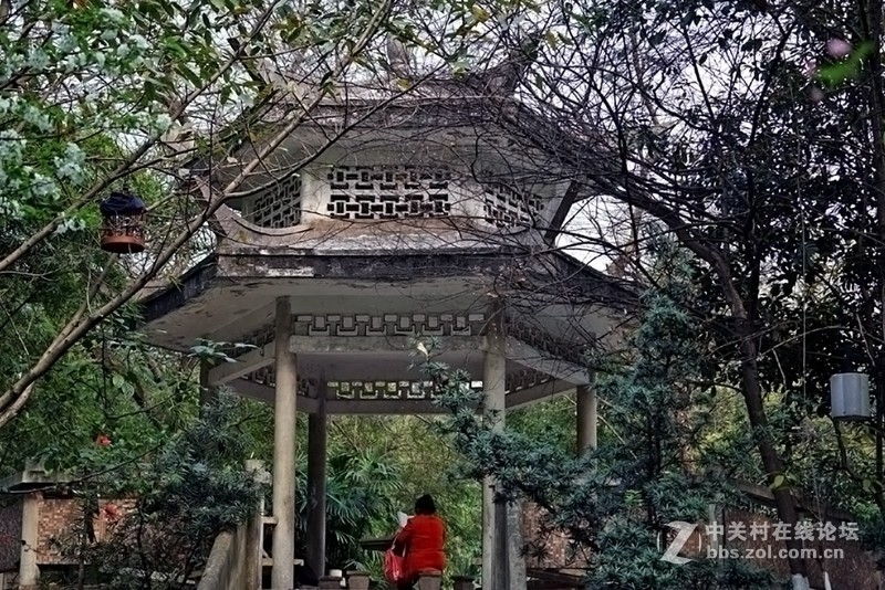 索尼微单镜头70—200F4试拍几片，请拍砖！