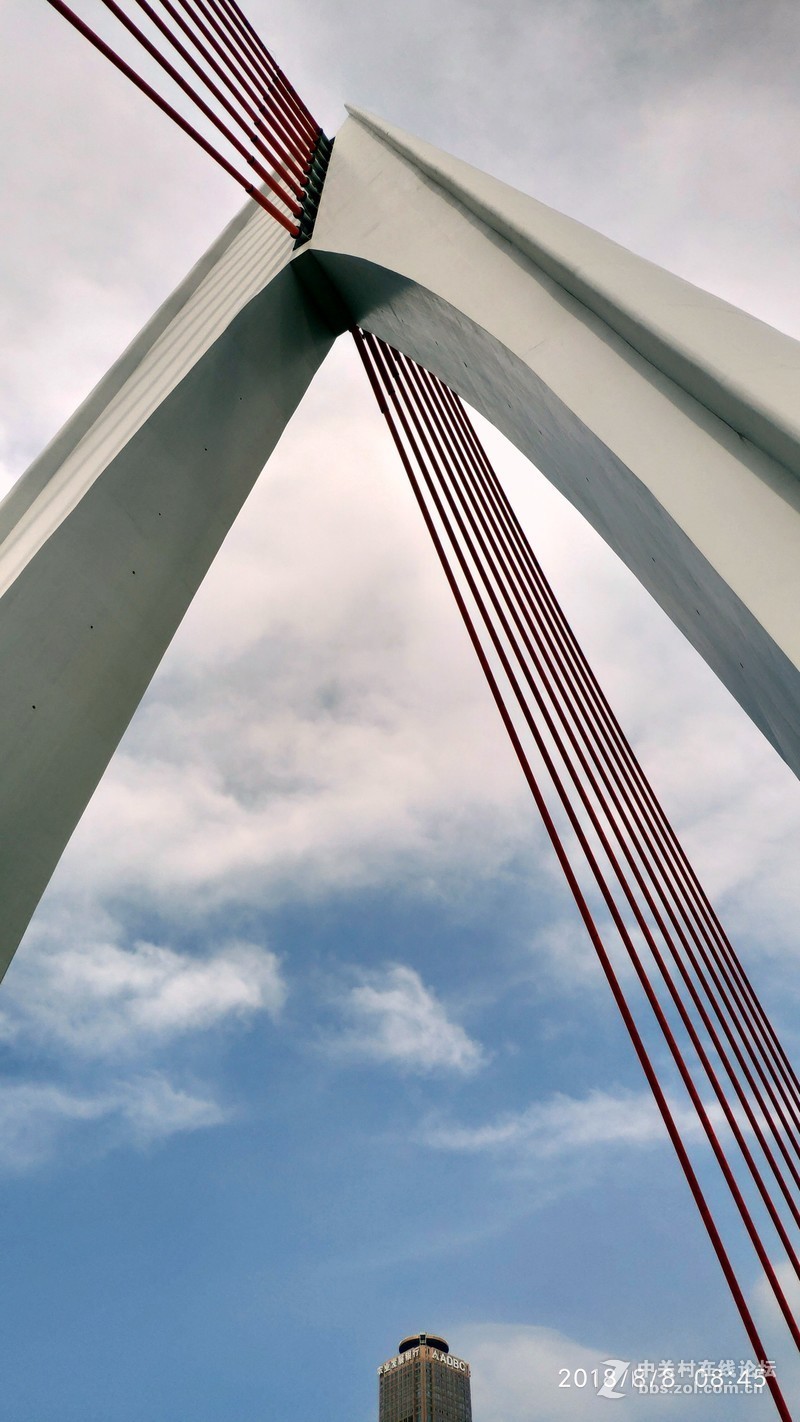 重庆东水门长江大桥随拍