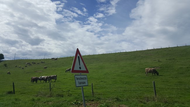 【星空体育平台S6 edge+欧洲行】 BMW博物馆与天鹅堡