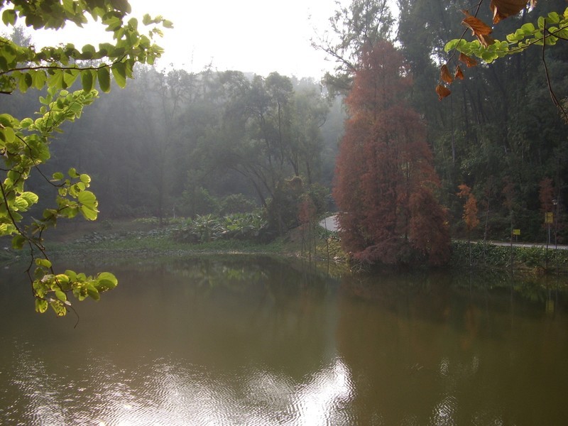 上古时代的星空体育平台Digimax A4 Kenox D4数码相机现拍分享