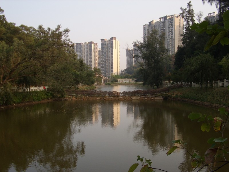 上古时代的星空体育平台Digimax A4 Kenox D4数码相机现拍分享