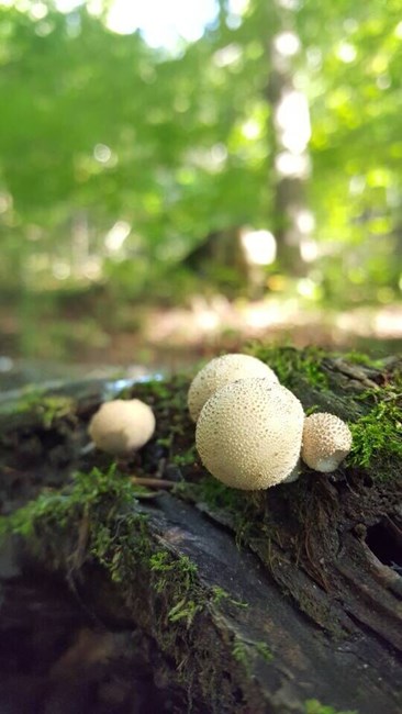 【星空体育平台S6 edge+欧洲行】 BMW博物馆与天鹅堡