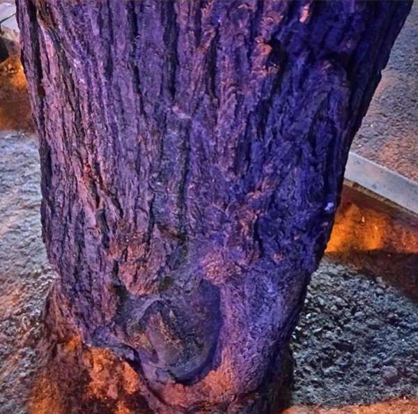 金立M6带着安全和您共享科技大餐