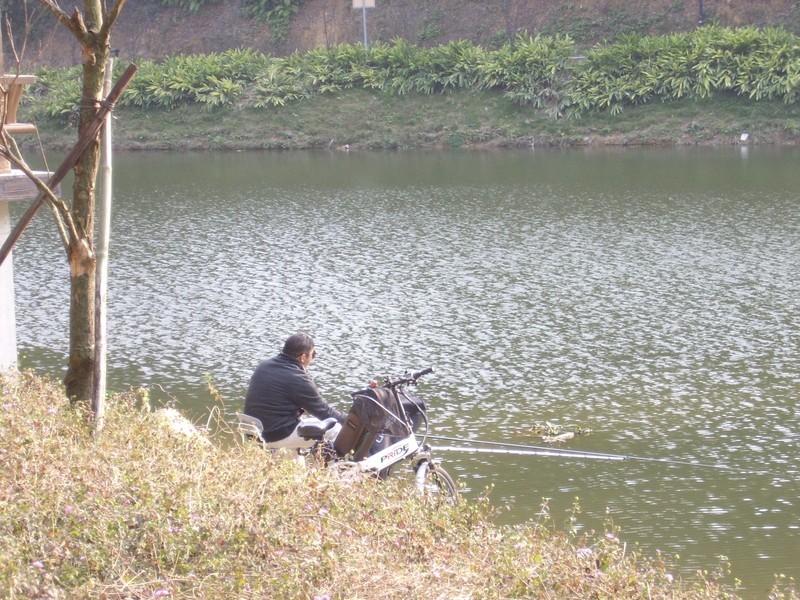 上古时代的星空体育平台Digimax A4 Kenox D4数码相机现拍分享