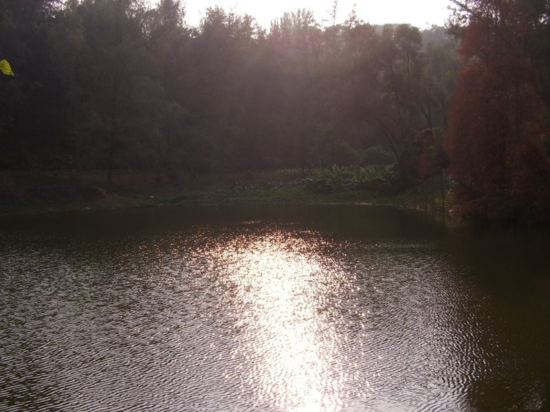 上古时代的星空体育平台Digimax A4 Kenox D4数码相机现拍分享