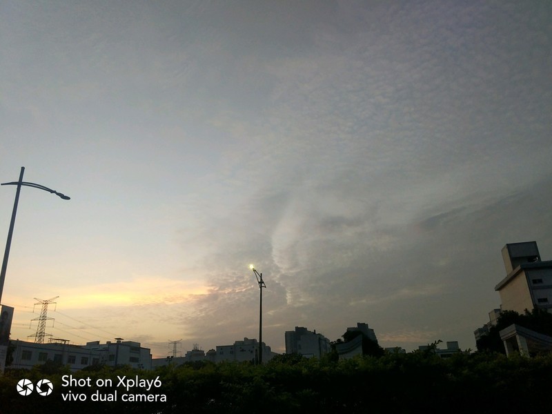 落叶知秋秋未识，花意正浓已深冬。