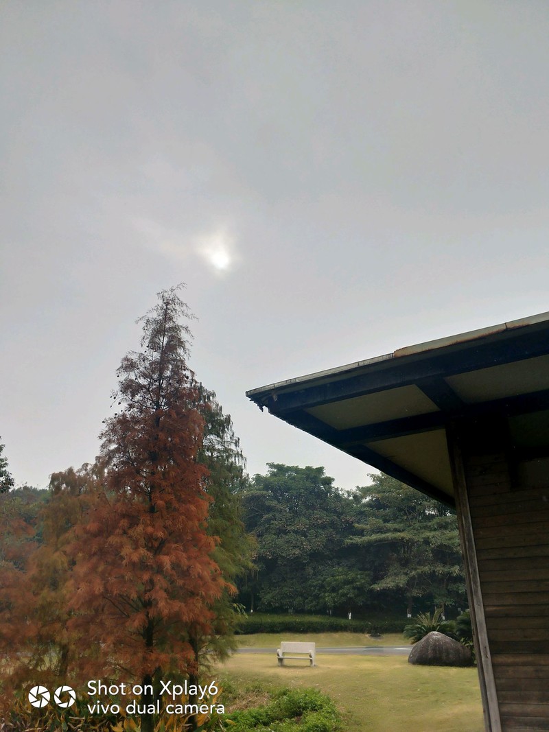 落叶知秋秋未识，花意正浓已深冬。