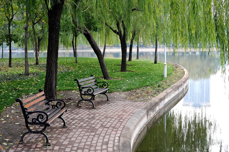 初冬的泰丰公园2018【风景摄影】