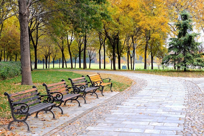 初冬的泰丰公园2018【风景摄影】