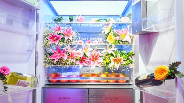 从保鲜到养鲜，容声WILL冰箱重磅发布，颠覆传统冰箱格局
