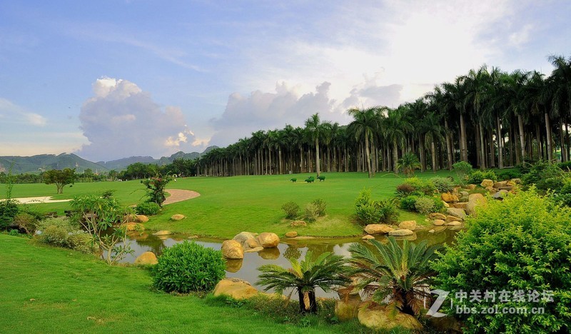 腾龙16-300MM镜头广西拍图