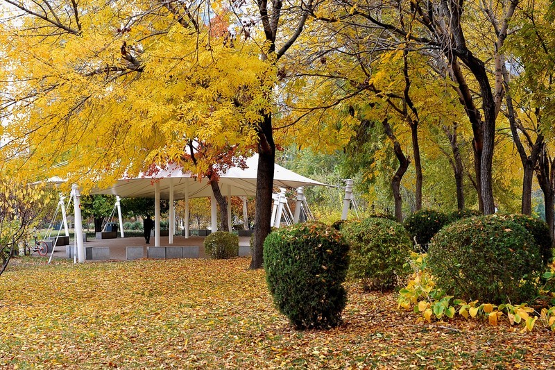 初冬的泰丰公园2018【风景摄影】