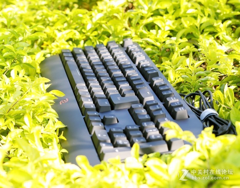 这个键盘头有点铁—ZOWIE CELERITAS II机械键盘