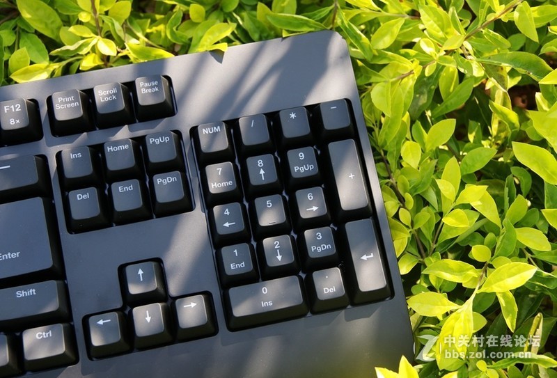 这个键盘头有点铁—ZOWIE CELERITAS II机械键盘