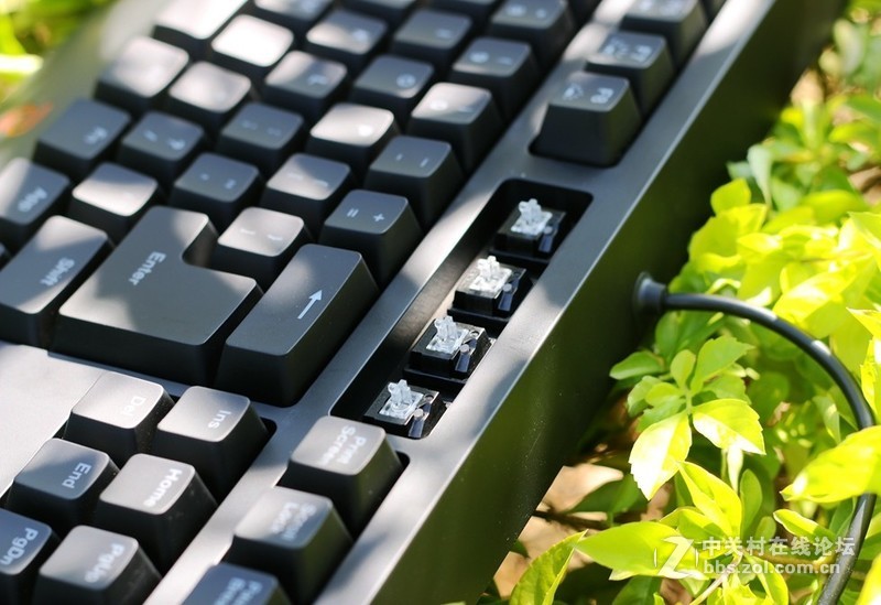 这个键盘头有点铁—ZOWIE CELERITAS II机械键盘