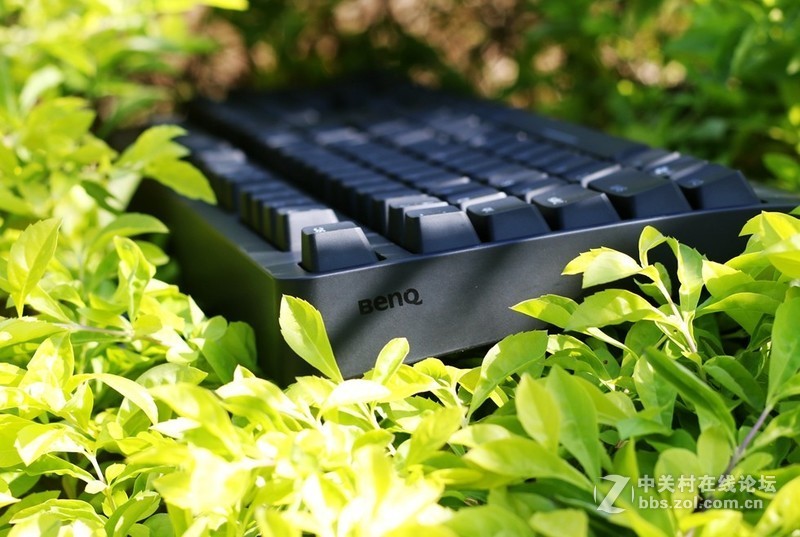 这个键盘头有点铁—ZOWIE CELERITAS II机械键盘