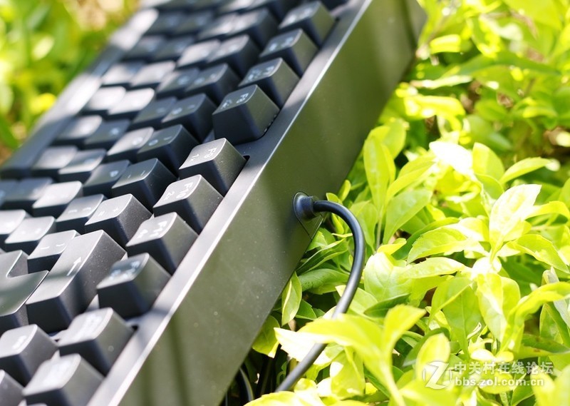 这个键盘头有点铁—ZOWIE CELERITAS II机械键盘