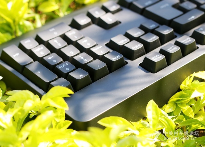 这个键盘头有点铁—ZOWIE CELERITAS II机械键盘
