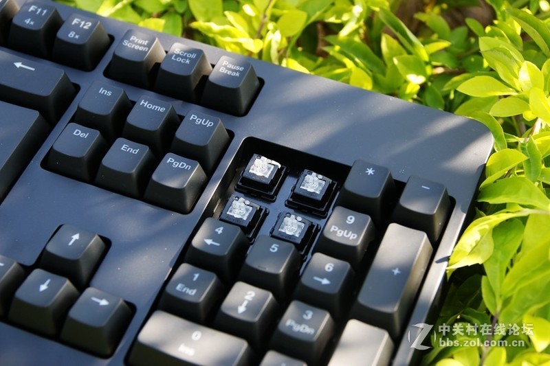 这个键盘头有点铁—ZOWIE CELERITAS II机械键盘