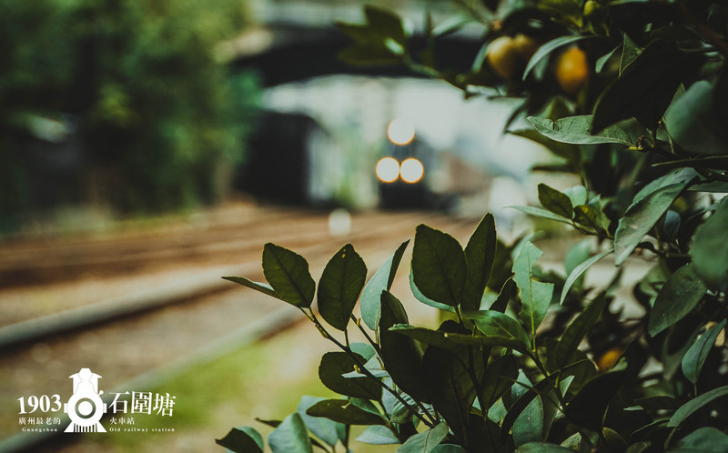 #一些事一些情走走停停广州情# 第一站 广州最老的火车站：石围塘