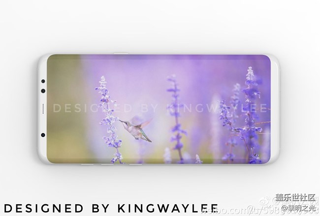 S8新图，肾上腺飙升！