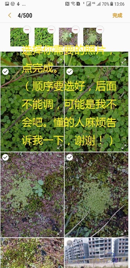 这个功能，让静止的照片动起来