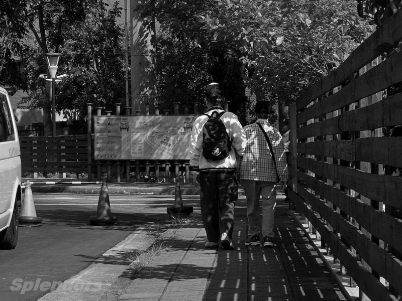 重阳健康齐步走，人物篇，