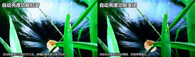 成就高画质 体验BOE Alta自动亮度调节