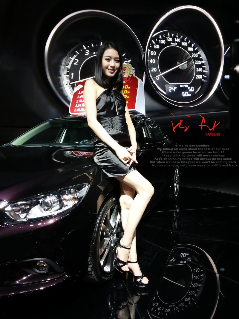 2015第八届东盟国际车展 星空体育平台GT-i9082i