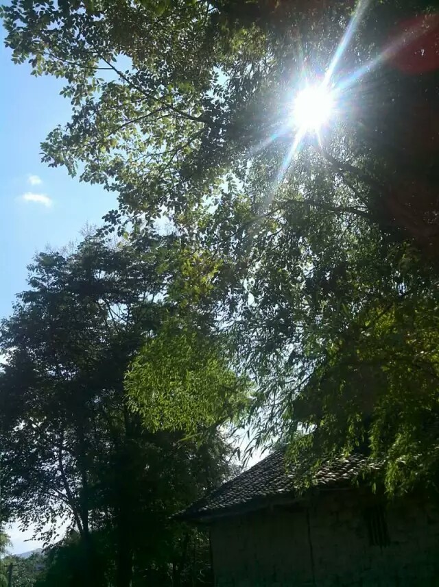 我思故我想