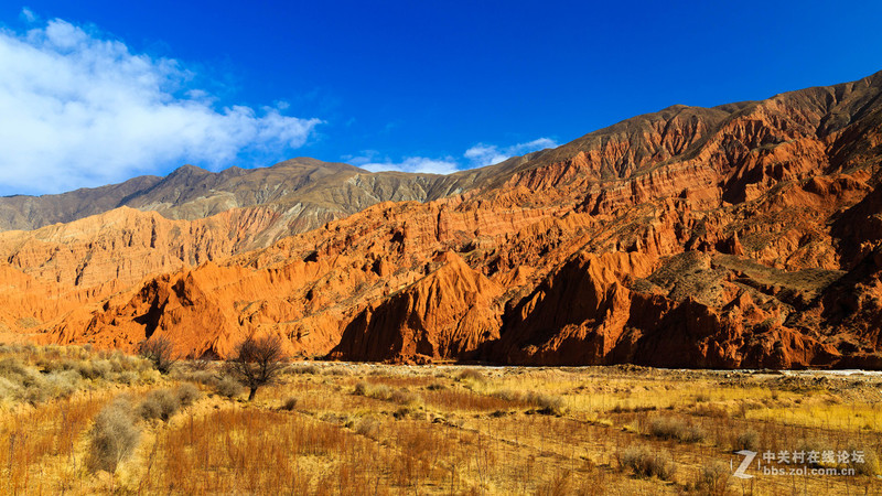 ＃版主坐堂＃2015年12月份下半月6D論壇精華帖匯集