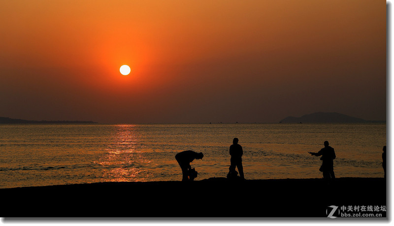 ＃版主坐堂＃2015年12月份下半月6D論壇精華帖匯集