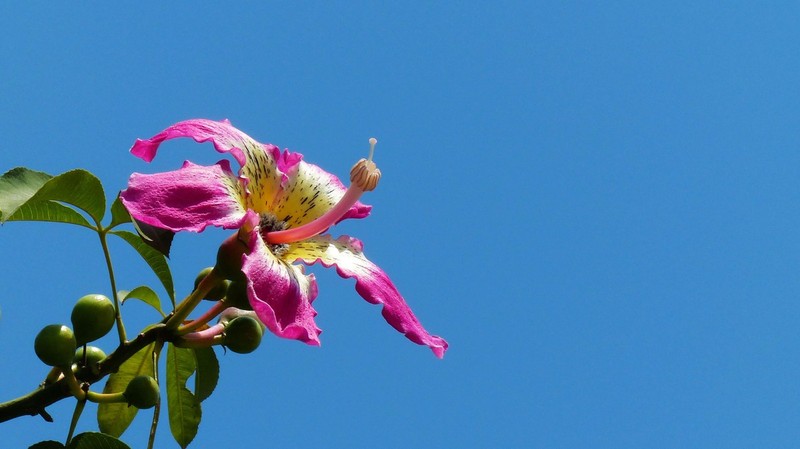 ＃版主坐堂＃2015年12月份下半月6D論壇精華帖匯集