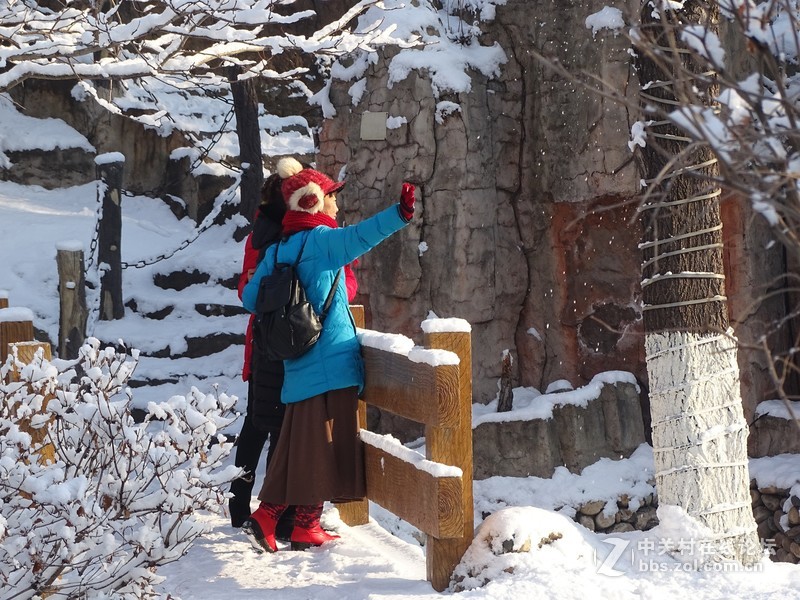 【雪后小华山】