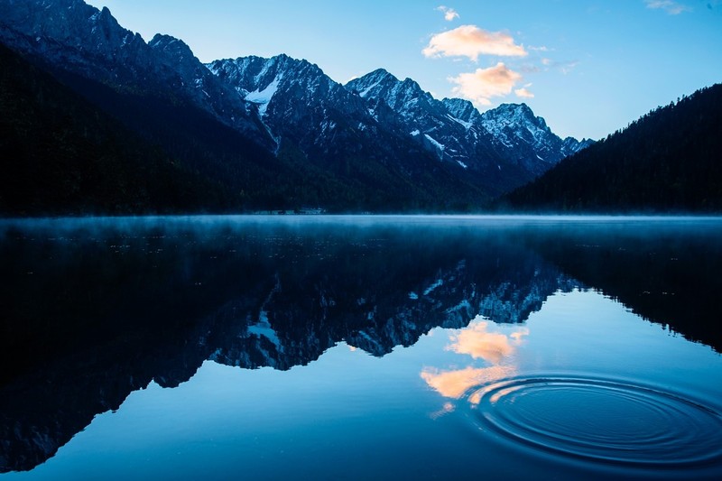 ＃版主坐堂＃2015年12月份下半月6D論壇精華帖匯集