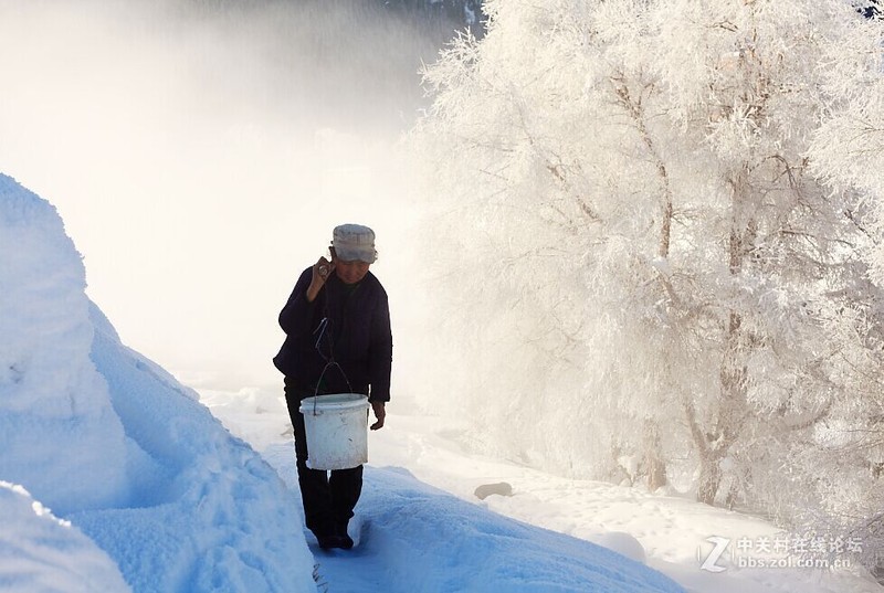 ＃版主坐堂＃2015年12月份下半月6D論壇精華帖匯集