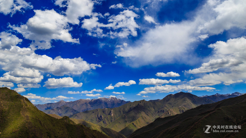 ＃版主坐堂＃2015年12月份下半月6D論壇精華帖匯集