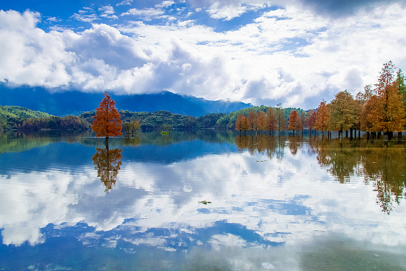 ＃版主坐堂＃2015年12月份下半月6D論壇精華帖匯集