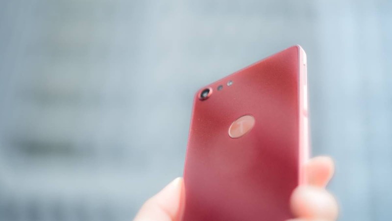 她真漂亮，坚果Pro2图赏