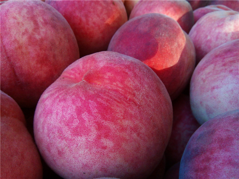 手辣，眼辣，心不辣！红辣椒X1使用体验