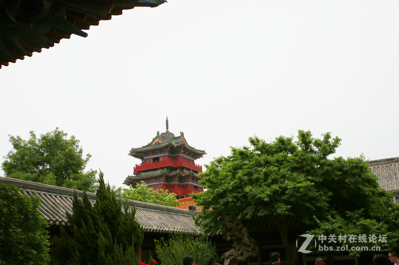 学习，提高！进步！