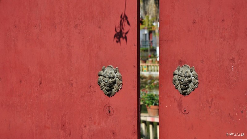 2018年元旦的花花草草，祝大家新年新气象！