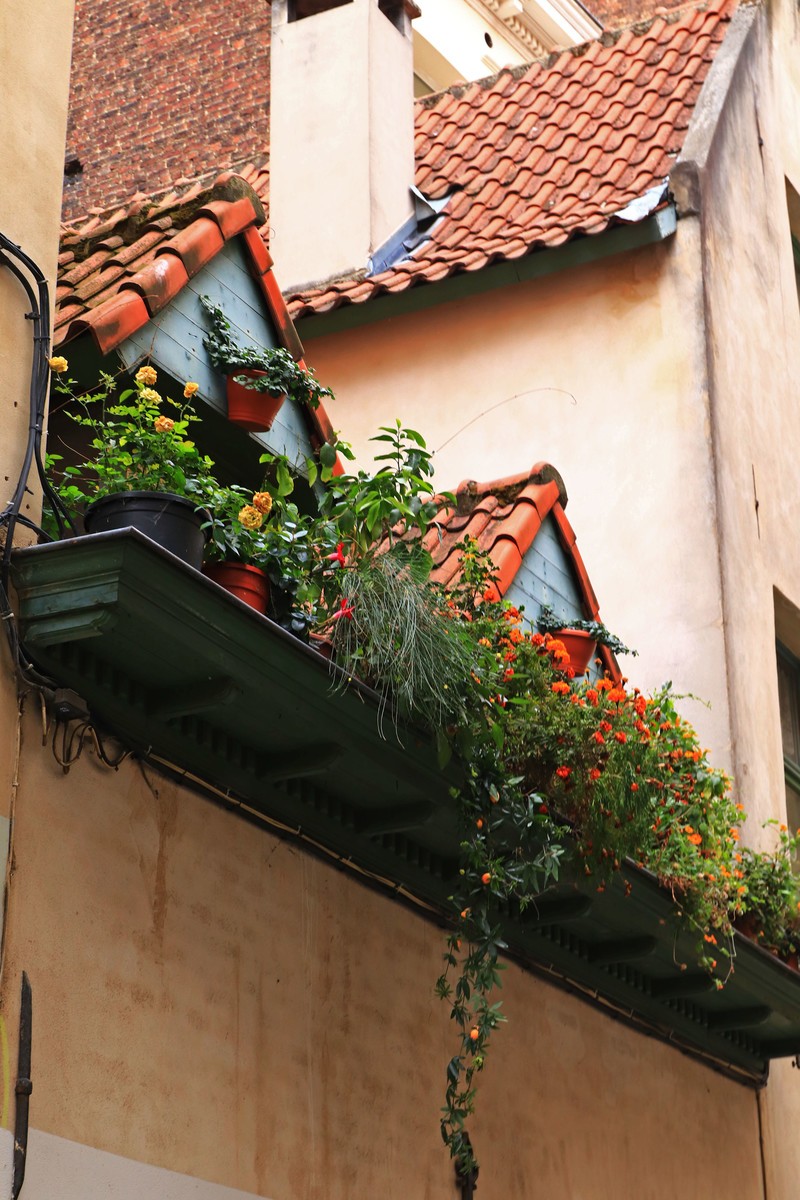 比利时布鲁塞尔