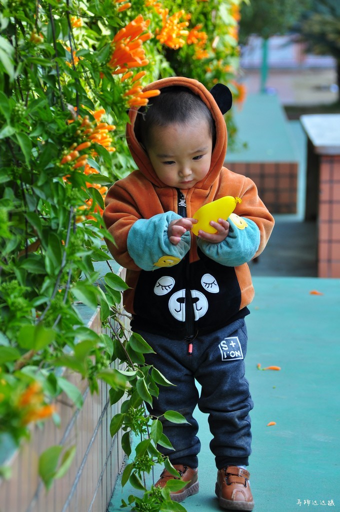 2018年元旦的花花草草，祝大家新年新气象！